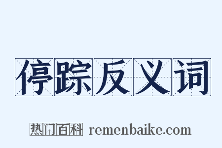 停踪反义词是什么意思的图片